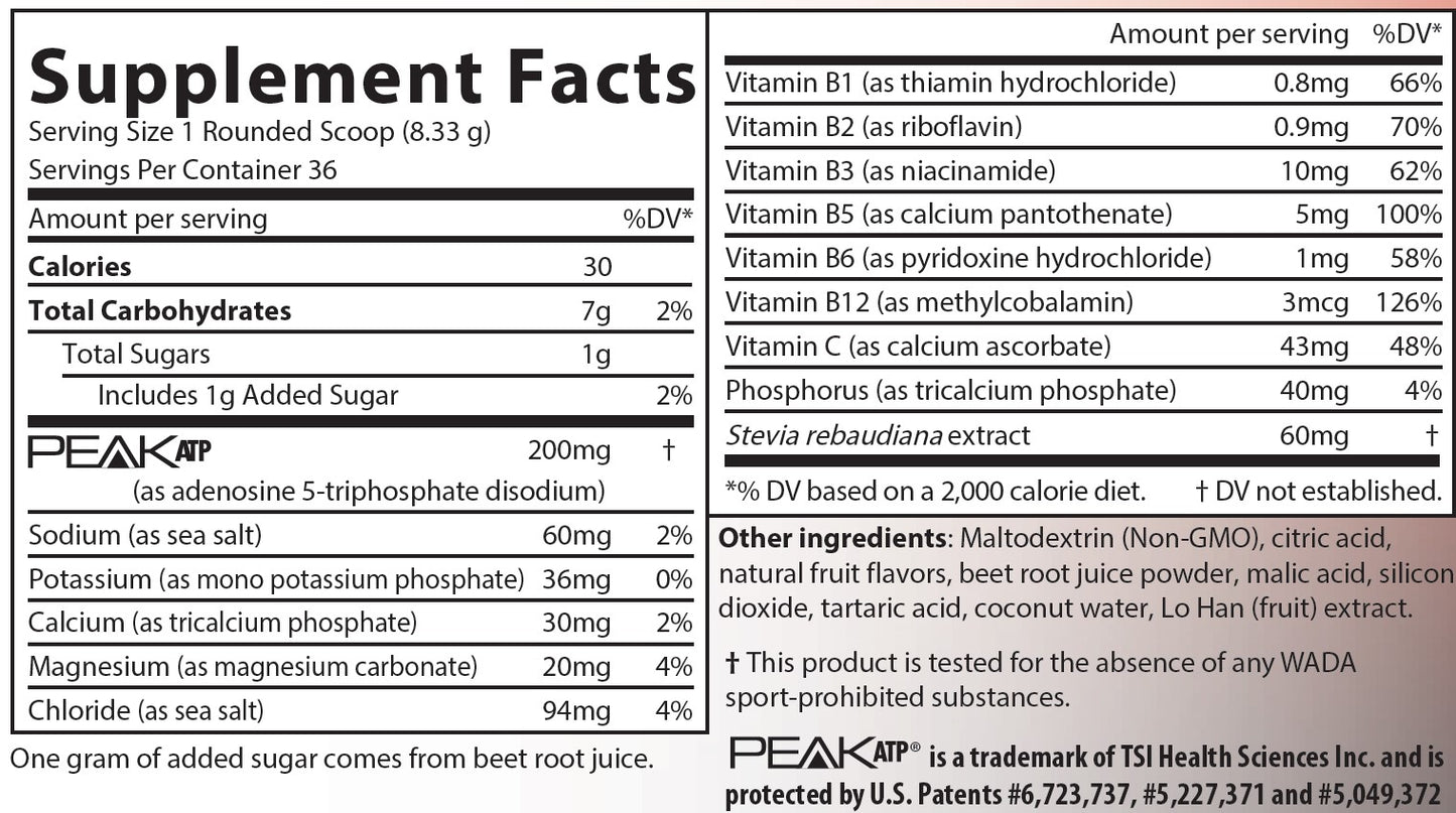 Peak Endurance ® —10.6 oz/300g blueberry/Acai energy drink mix