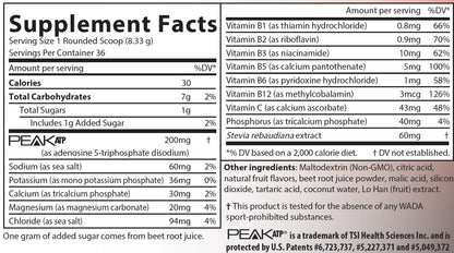 Peak Endurance ® —10.6 oz/300g blueberry/Acai energy drink mix